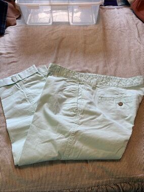 GAP Light Mint Chino Pants